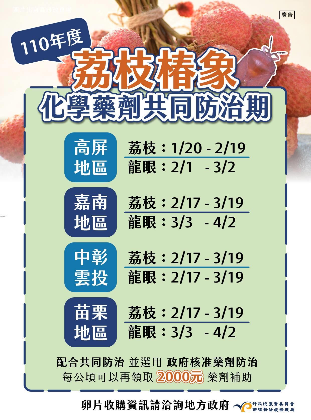 110年嘉南、中彰投雲及苗栗地區之荔枝椿象化學共同防治期程通知