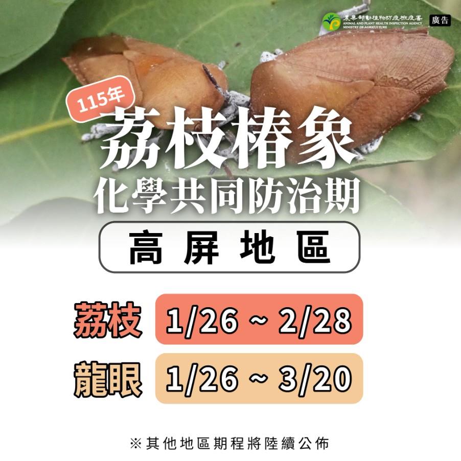 115年各區域荔枝椿象化學共同防治期程